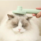 Self-Cleaning Slicker Brush