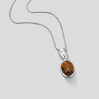Cleo Silver Tiger Eye Stone Long Necklace - view 1
